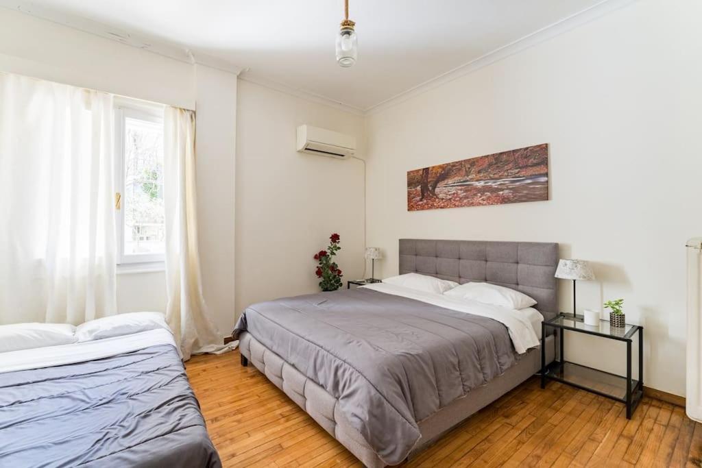Amazing 3Bdr Apt With Unique Roof Garden In Plaka 아테네 외부 사진
