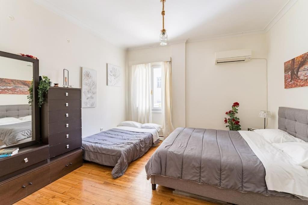 Amazing 3Bdr Apt With Unique Roof Garden In Plaka 아테네 외부 사진