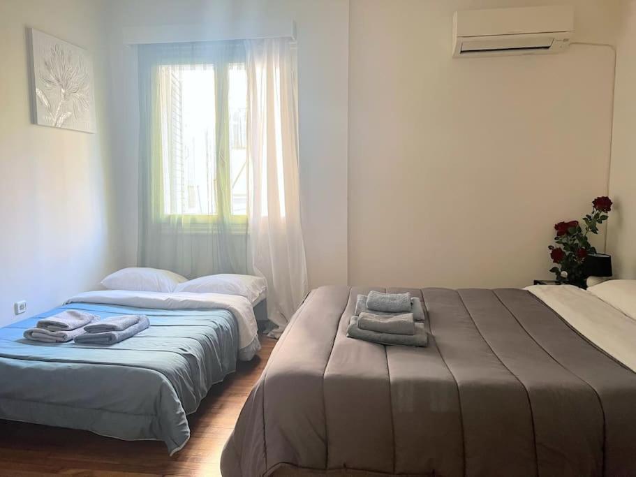 Amazing 3Bdr Apt With Unique Roof Garden In Plaka 아테네 외부 사진