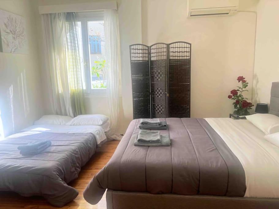 Amazing 3Bdr Apt With Unique Roof Garden In Plaka 아테네 외부 사진